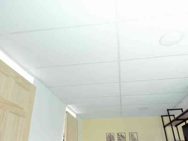 Carlin1511 webcam