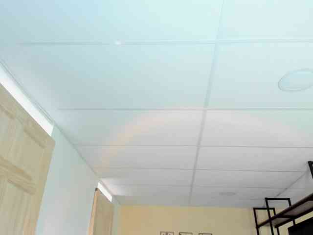 Carlin1511 webcam