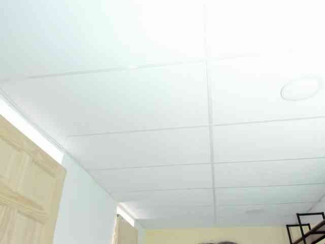 Carlin1511 webcam