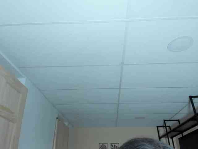 Carlin1511 webcam