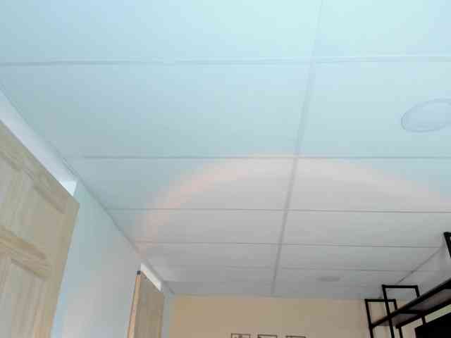 Carlin1511 webcam