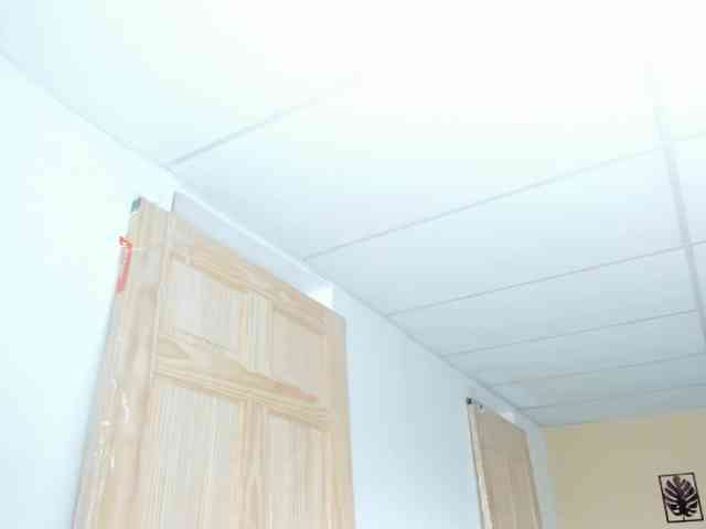 Carlin1511 webcam