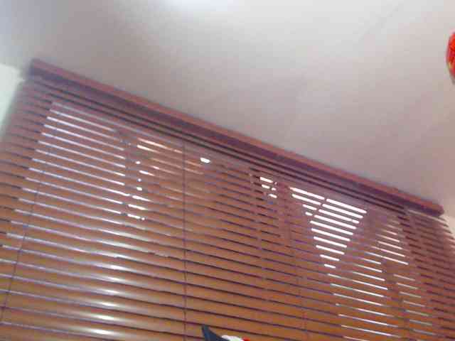 GeorginaBianco webcam