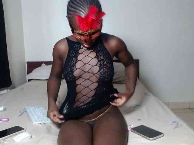 Kittysugar Kittysugar