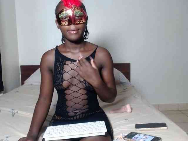 Kittysugar Kittysugar