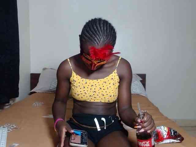 Kittysugar Kittysugar