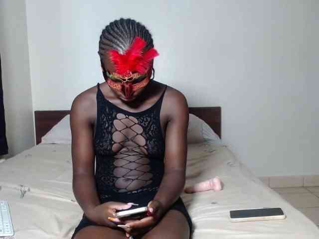 Kittysugar Kittysugar