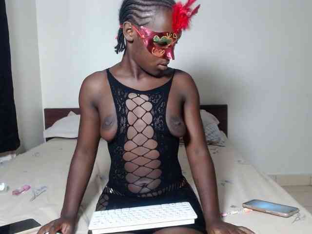 Kittysugar Kittysugar