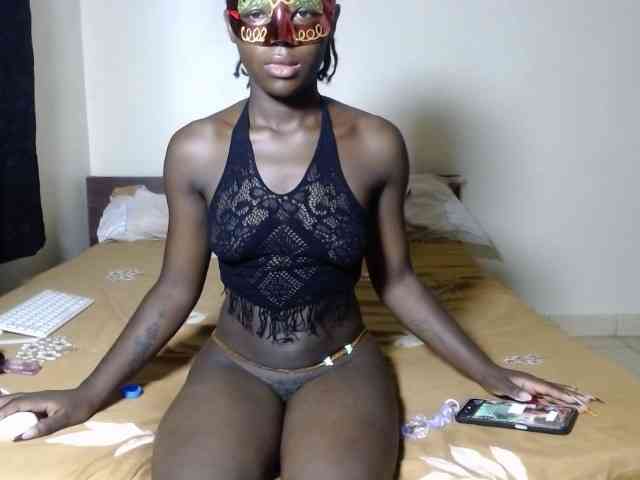 Kittysugar Kittysugar