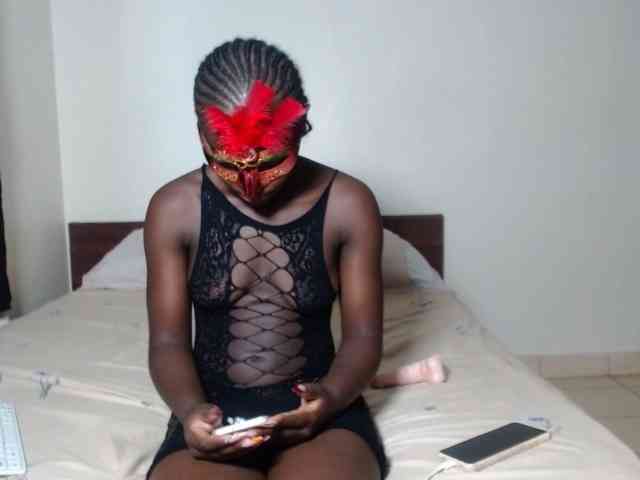 Kittysugar Kittysugar