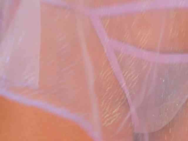 AmaliaCruss webcam