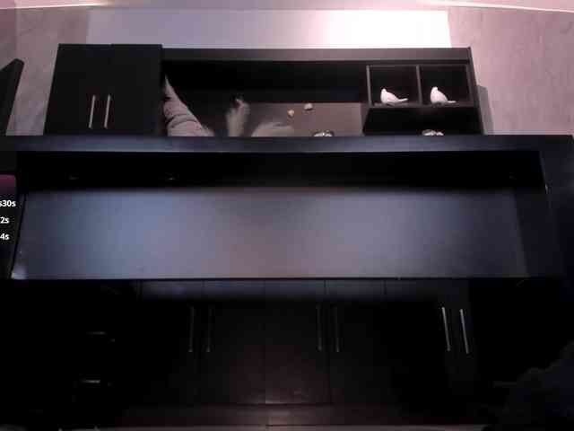 LarisaSmirnov webcam