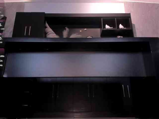 LarisaSmirnov webcam