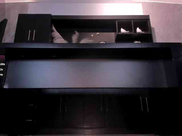 LarisaSmirnov webcam