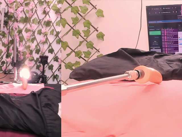 MilaRouse Live Cam on BongaCams and RICams