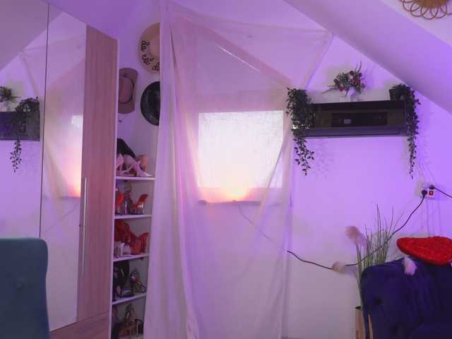  Amaliamour chat room