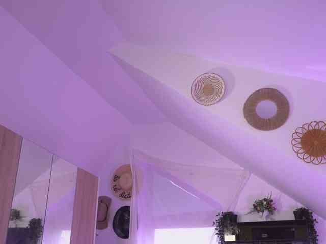 Amaliamour Amaliamour