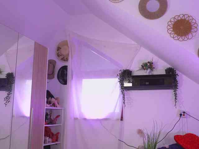 Amaliamour Amaliamour