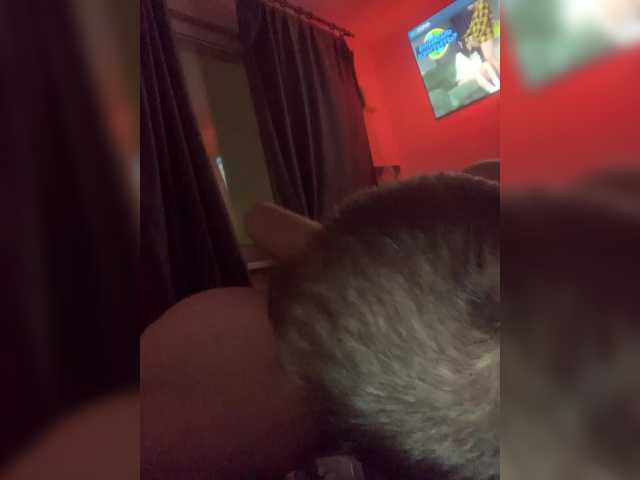 Meow2609