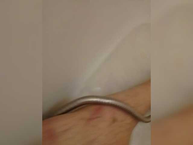 AGusik2609's BongaCams show and profile