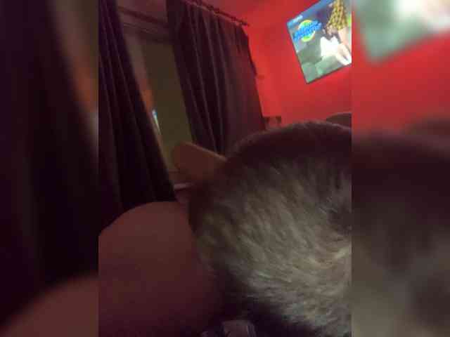 Meow2609 webcam