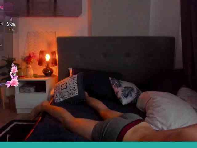 strip webcam Larastars