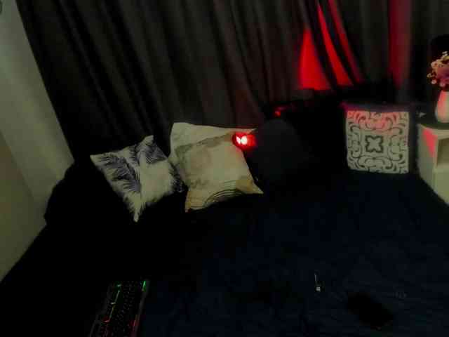 larastars webcam