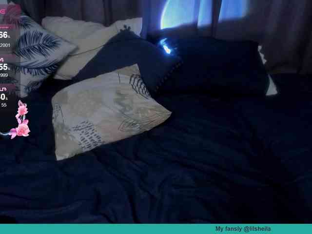 larastars webcam