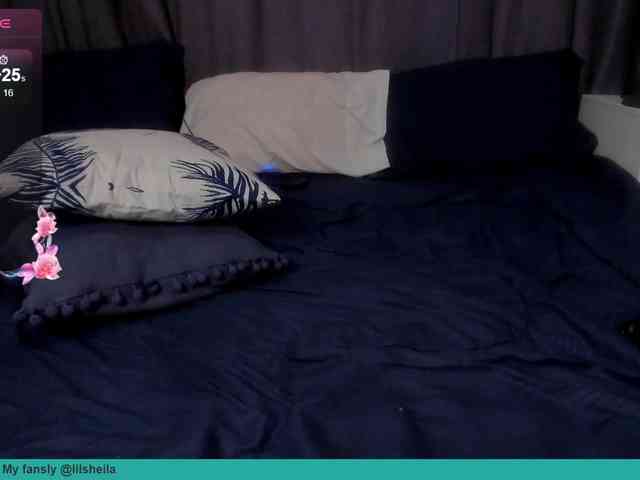 larastars webcam