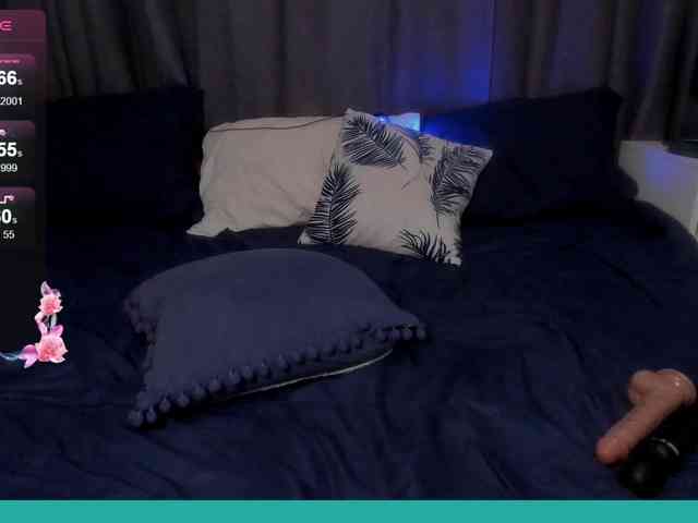 larastars webcam