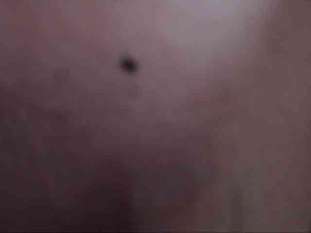 MonetBellla webcam