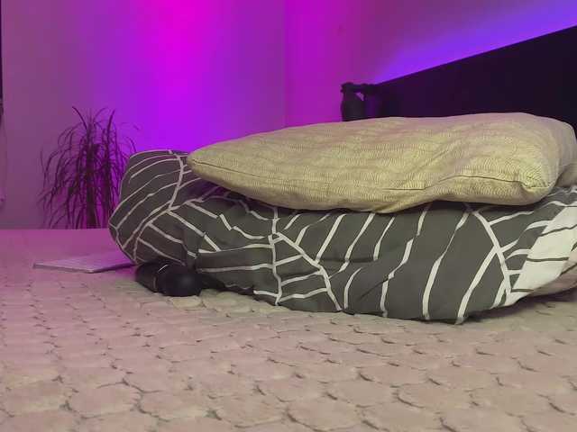 dalmatian-girl's BongaCams show and profile