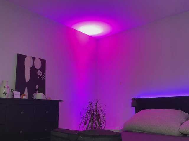 dalmatian-girl's BongaCams show and profile