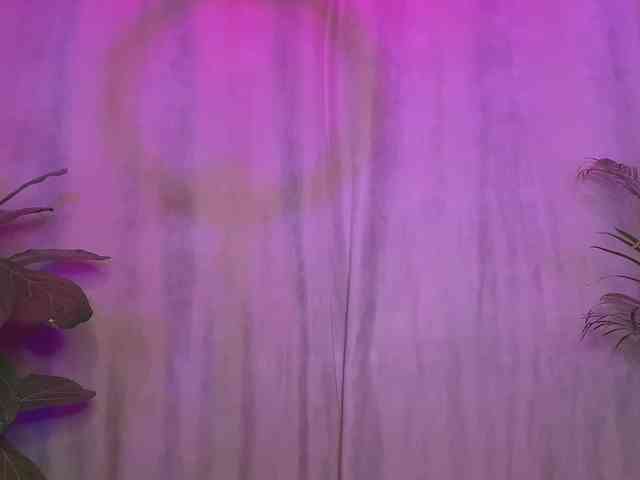 dalmatian-girl webcam