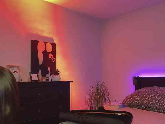 dalmatian-girl webcam