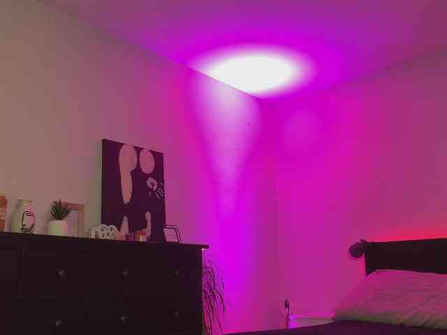 dalmatian-girl webcam