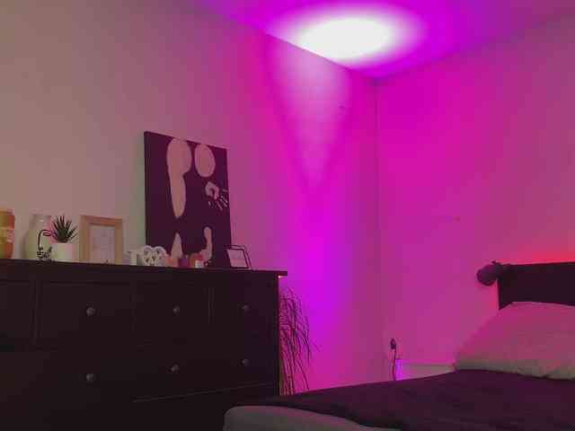 dalmatian-girl webcam