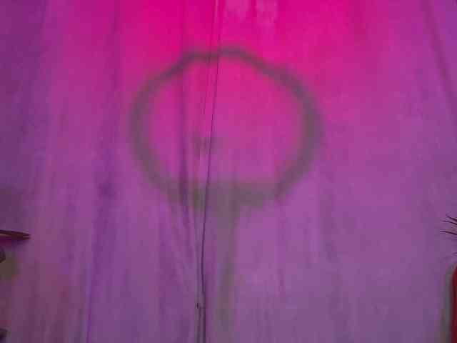 dalmatian-girl dalmatian-girl