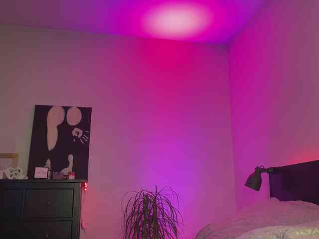 dalmatian-girl webcam