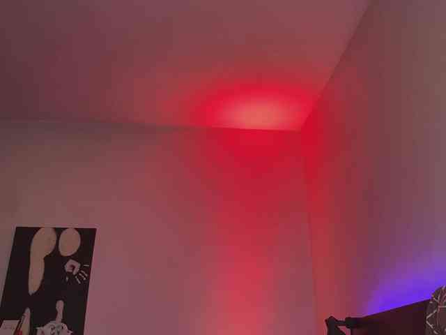 dalmatian-girl webcam