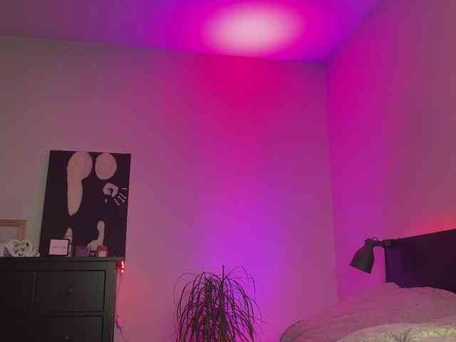 dalmatian-girl webcam