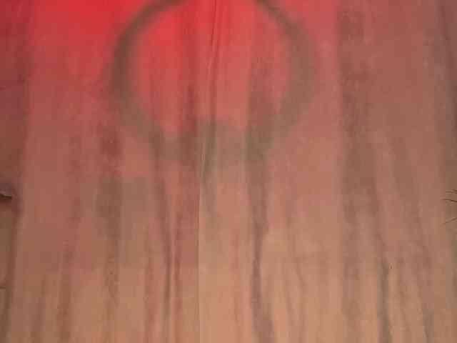 dalmatian-girl dalmatian-girl