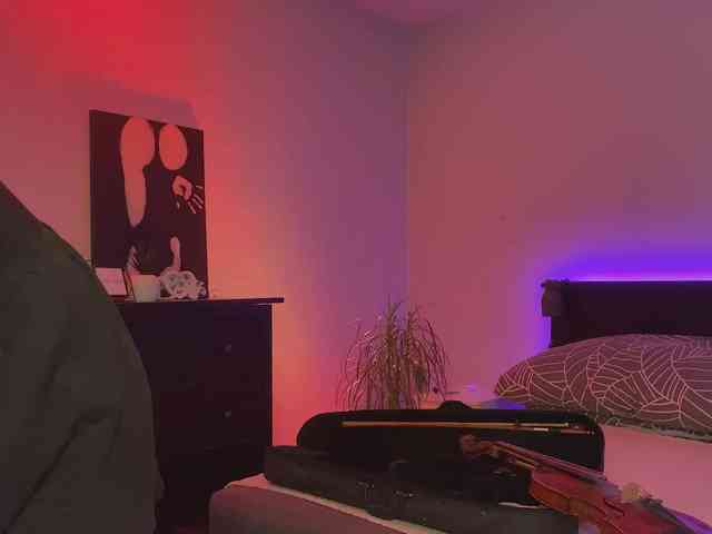 dalmatian-girl webcam