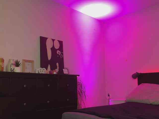 dalmatian-girl webcam