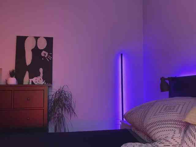 dalmatian-girl webcam