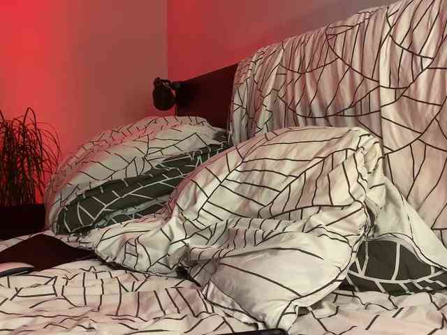 dalmatian-girl webcam