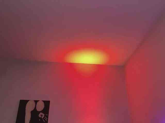 dalmatian-girl webcam