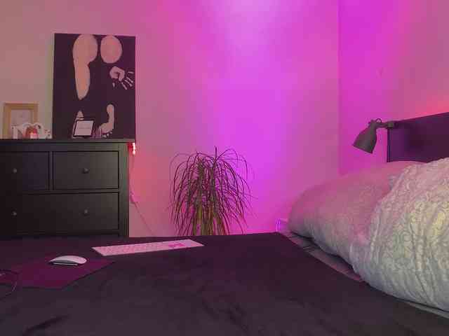 dalmatian-girl webcam