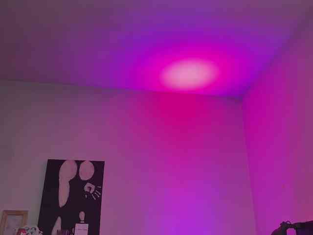 dalmatian-girl webcam