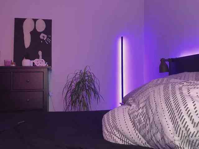 dalmatian-girl webcam